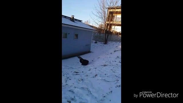 Мой друг умер R.I.P смотреть онлайн