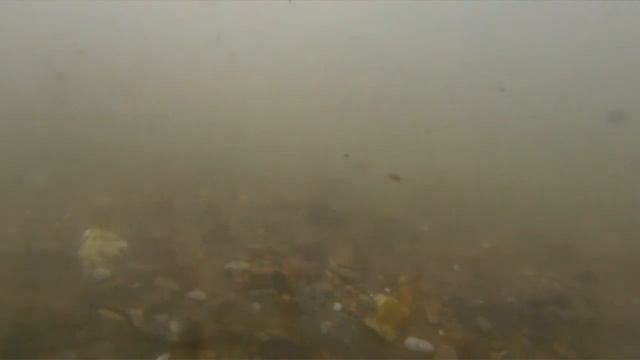 Влог|Река Ашкадар|Снимаю под водой на GoPro смотреть онлайн