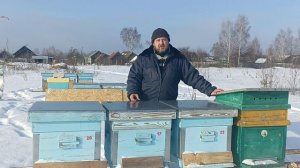 Зимовка пчёл на улице. Канди. Селекция. Карника. Пчеловодство!