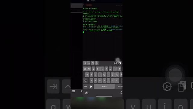 b0mb3r (sms bomber) on iPhone iOS 14.2 with stable working iSH (Linux) смотреть онлайн