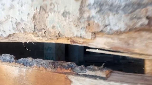 ЭТО УЖАС МЫ ЗОБРАЛИСЬ НА БАЗУ 52 И ПО НАМ ОТКРЫЛИ ОГОНЬ смотреть онлайн