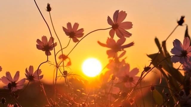 Я поверю в любовь... А.Тюрин О.Ахметова смотреть онлайн