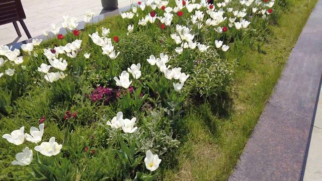 4K. Moscow blooming. May 2023. Москва цветущая. Май 2023. смотреть онлайн