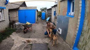 Обучение щенка русской гончей.