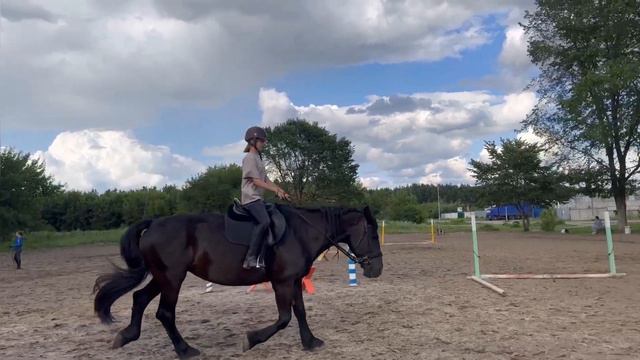 Обучение верховой езде для детей с 4 лет на пони и больших лошадках смотреть онлайн