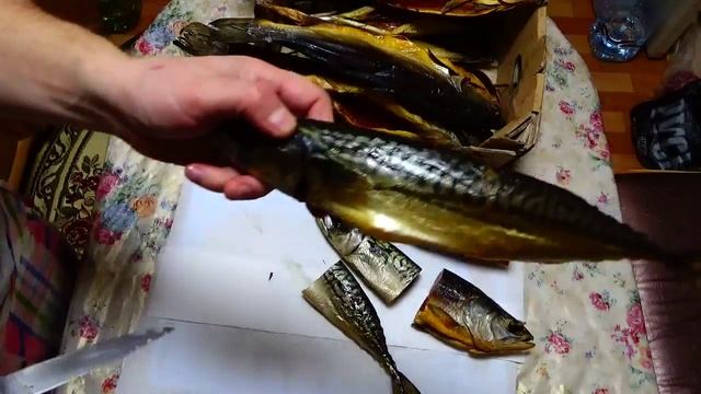 Копченная Горбуша и Скумбрия (смотрим что получилось) смотреть онлайн