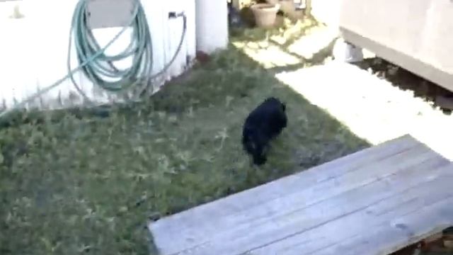 sony dsc-w300 test video смотреть онлайн