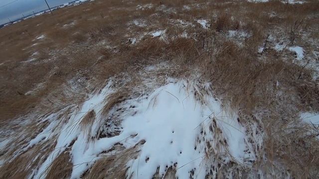 ОХОТА НА ЗАЙЦА , ПЕРВЫЙ СНЕГ , РУЖЬЕ ТОЗ 34 , ВЕРНЫЙ ДРУГ , охота на зайца зимой смотреть онлайн