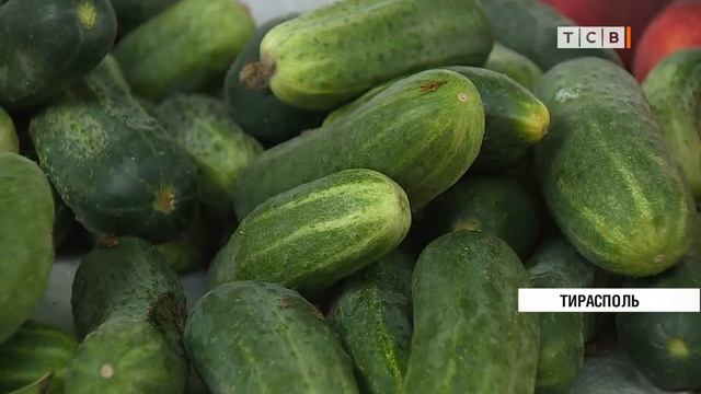 На рынке начался сезон грунтовых овощей смотреть онлайн