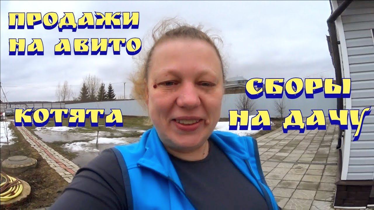 Сборы на дачу / Отдаем котят / Выходные на даче / Как продавать на авито / Продажи на авито смотреть онлайн