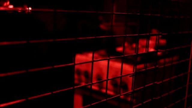 Paranoia квеструм (Екатеринбург) Лавка Мясника - перформанс. смотреть онлайн