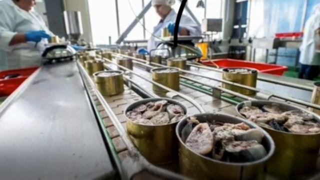 GMP. Внедрение системы ХАССП на пищевых предприятиях. Сбор и утилизация отходов. смотреть онлайн