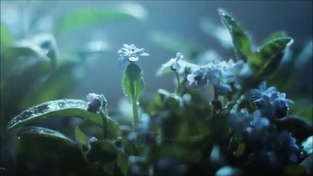 Outlander | Alternative Skye Boat Song Opening [SEASON 1] смотреть онлайн