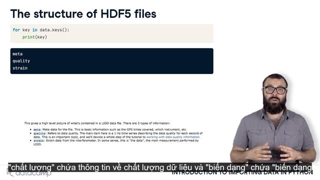 Using Python to import HDF5 files смотреть онлайн