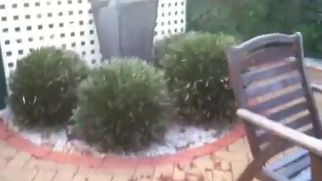 IPhone 3GS 3 Megapixel Camera Test Video (via Phone)