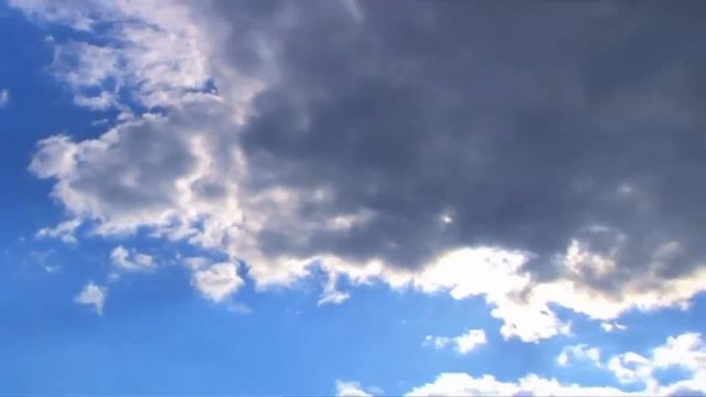Air Quality And Your Health смотреть онлайн