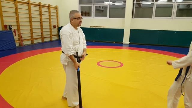 19| Reishinin ryu Aikijutsu 2020 | 1 kyu | ken jutsu, ura tachi 1-3 смотреть онлайн