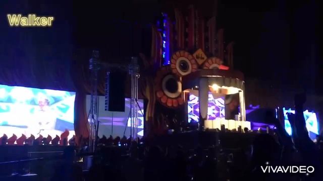 Tomorrow land Sri Lanka 2022 | Thorz Live | Colombo Port city Road To EMF Festival Sri lanka ?? смотреть онлайн