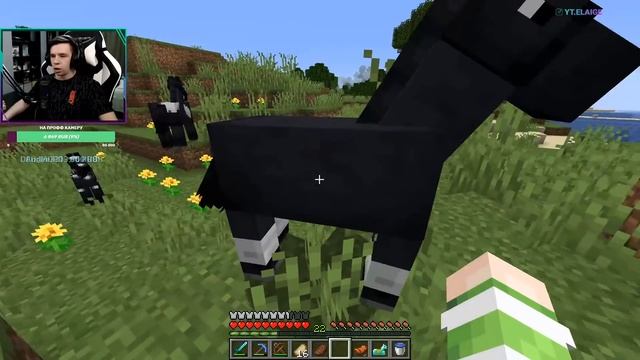 СТРИМ ХАЙ-ТЕК ВЫЖИВАНИЕ 1.16! ОБСУЖДАЕМ ПЛАНЫ НА СТРОИТЕЛЬСТВО | ВАНИЛЬНОЕ ВЫЖИВАНИЕ В Minecraft смотреть онлайн