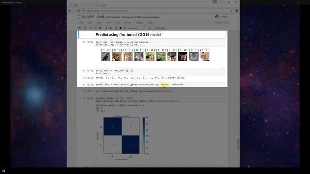 Fine-tune VGG16 Image Classifier with Keras | Part 3: Predict смотреть онлайн