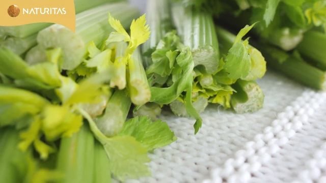 ? ¿Qué comer en Primavera y Verano para alimentarnos con mayor calidad y menor precio? смотреть онлайн