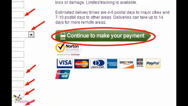 Способы оплаты на сайте StrawberryNET смотреть онлайн