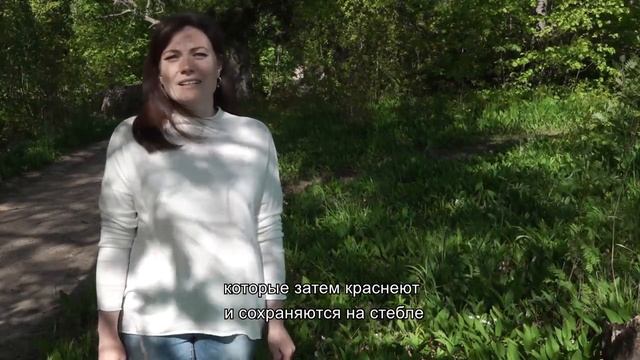Парк Монрепо Ближе. Ландыш майский смотреть онлайн