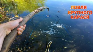 Ловля крупного карася. Поймал рыбу на паук. Рыбалка на паук 2021