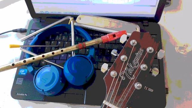 Ain't No Sunshine (Harmonica, Whistle, Guitar & Triangle) смотреть онлайн