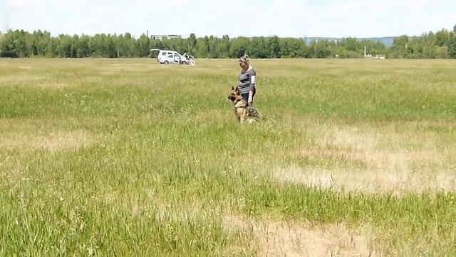 28.06.15 ЗКС - 2 место