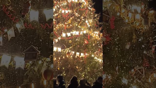 Петербург в Рождество 2024 #Петербург #СПб #SPb смотреть онлайн