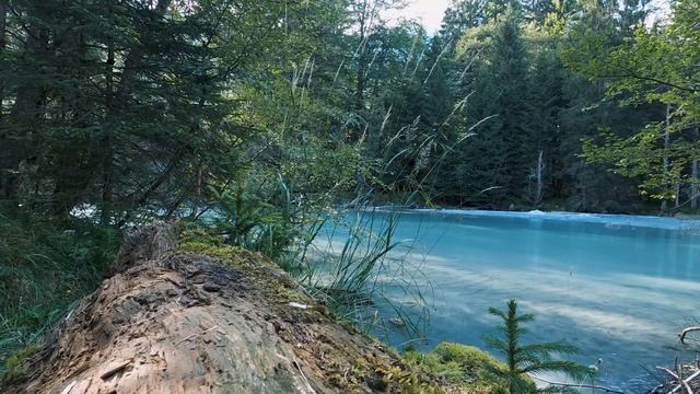 ЛУЧШАЯ МУЗЫКА ДЛЯ МЕДИТАЦИИ И ВОССТАНОВЛЕНИЯ СНА смотреть онлайн