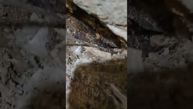 Ковчег НОХА . Внутреннее строение стыки, сегменты . смотреть онлайн