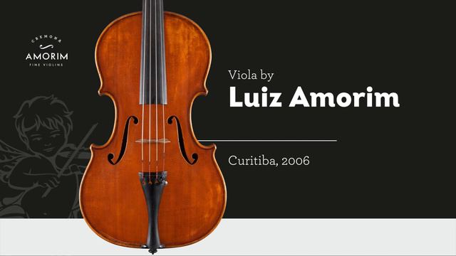 Viola by Luiz Amorim, Curitiba, 2006 смотреть онлайн