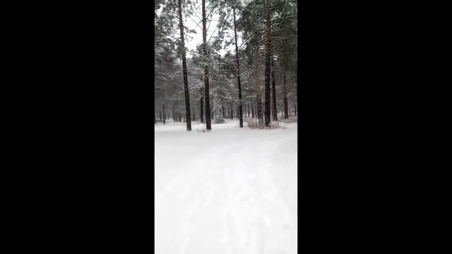 В ЧИТУ ПРИШЛА ЗИМУШКА - ЗИМА 2 ДЕКАБРЯ 2018 смотреть онлайн