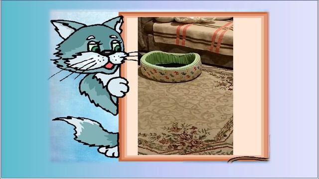 Прятки Floki.mp4