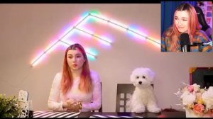 Я Дала ПОДПИСЧИКАМ СМОНТИРОВАТЬ моё ВИДЕО за 24 ЧАСА ? Наша Собака