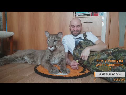 Прямой эфир.