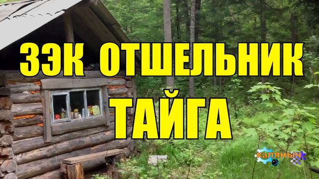 ОТШЕЛЬНИК | ЗАКЛЮЧЕННЫЙ В ТАЙГЕ смотреть онлайн