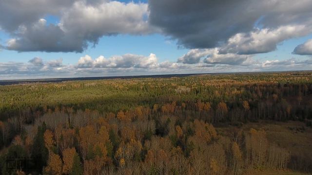 Унылая пора, очей очарование смотреть онлайн
