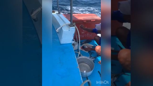 Лов тунца. Рыбалка в Таиланде. смотреть онлайн