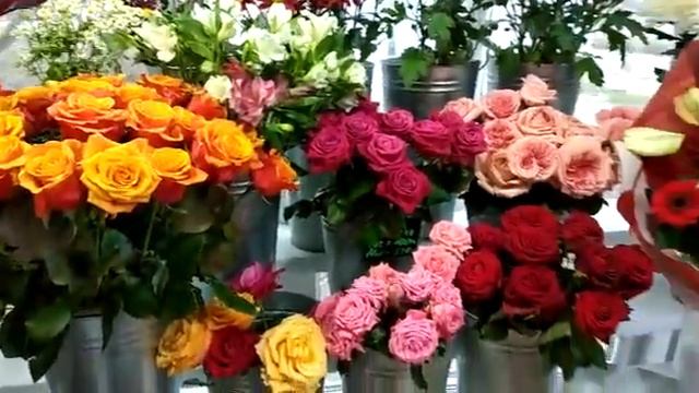 Сегодня в продаже. 01.05.21. Нескучный сад Новоуральск