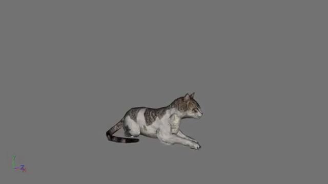 BLESS 3D Models + Animations 39 (.c4d)