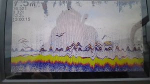 ?Троллинг с даунриггером на Рыбинке. ? Лодка Беркут с мотором Ямаха 40.? GARMIN STRIKER 9SV PLUS