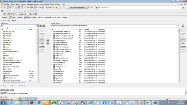 Oracle R12 Customize The Login Homepage смотреть онлайн