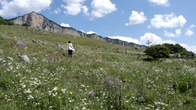 Гуляю, собираю шалфей и котовник.