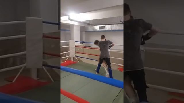 Как проходят спаринги в нашем клубе смотреть онлайн