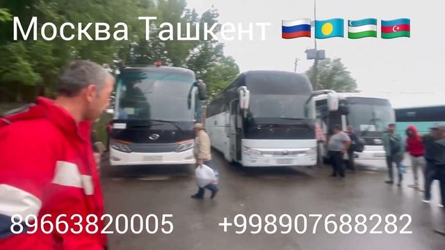 Санкт-Петербург Тверь Москва Тула Рязань Владимир Ташкент автобус прямой рейс смотреть онлайн