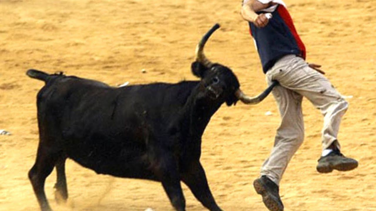 Stadium quest: where to hide from angry bulls? смотреть онлайн