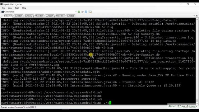 Cassandra4.0 New Feature FQL Tool смотреть онлайн
